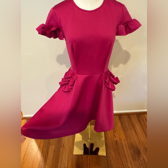 TED BAKER Ruffle Sleeve Mini Dress - Picture 11 of 15